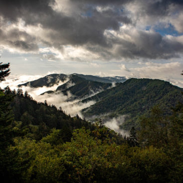 Great Smoky Mountain National Park