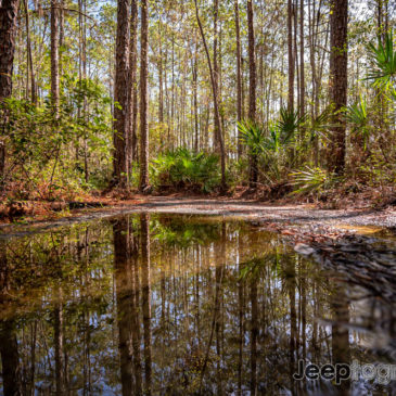 Laura S Walker State Park