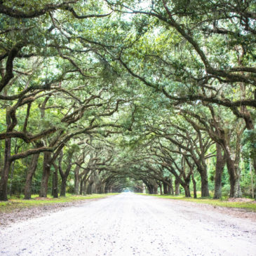 Wormsloe State Historic Site