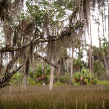 Skidaway Island State Park