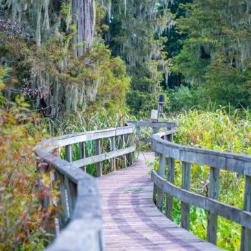 Phinzy Swamp Nature Park