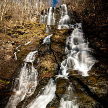 Amicalola Falls State Park & Lodge