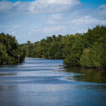 Everglades National Park – Flamingo