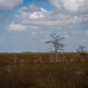 Everglades National Park – Pa-Hay-Okee